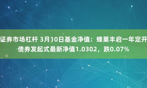 证券市场杠杆 3月10日基金净值：蜂巢丰启一年定开债券发起式最新净值1.0302，跌0.07%